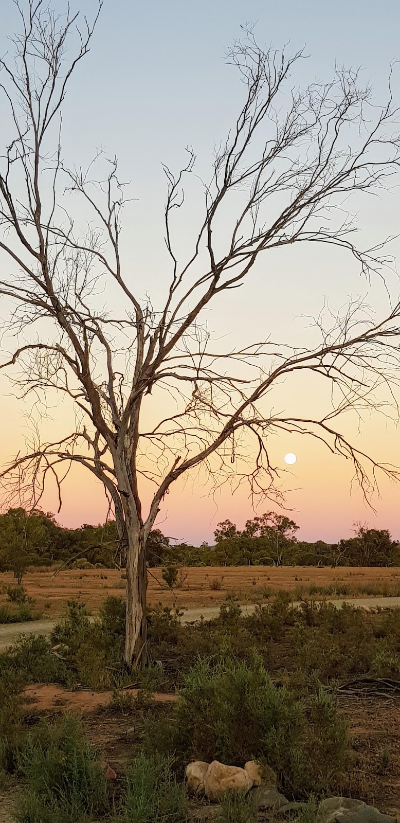 Arkaba Homestead | lodging | Flinders Ranges SA 5434, Australia | 1300790561 OR +61 1300 790 561