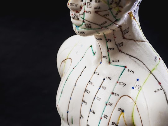 Sydney Kinesiology, Innate Balance | 741 Old South Head Rd, Vaucluse NSW 2030, Australia | Phone: 0435 039 855