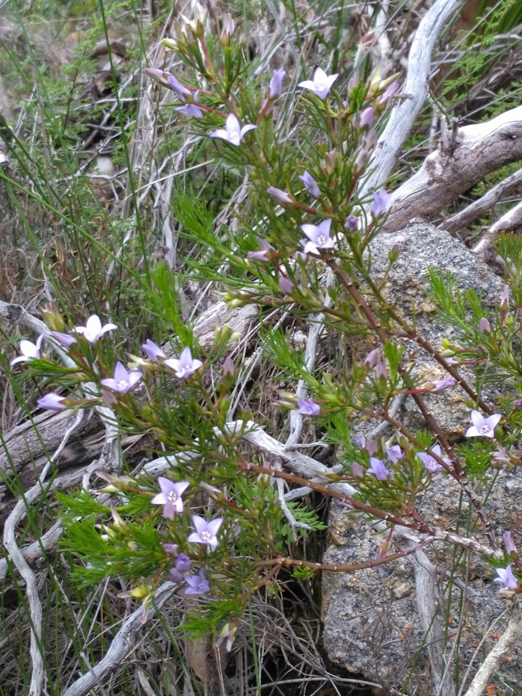 Baldwins lookout trail | Serpentine WA 6125, Australia