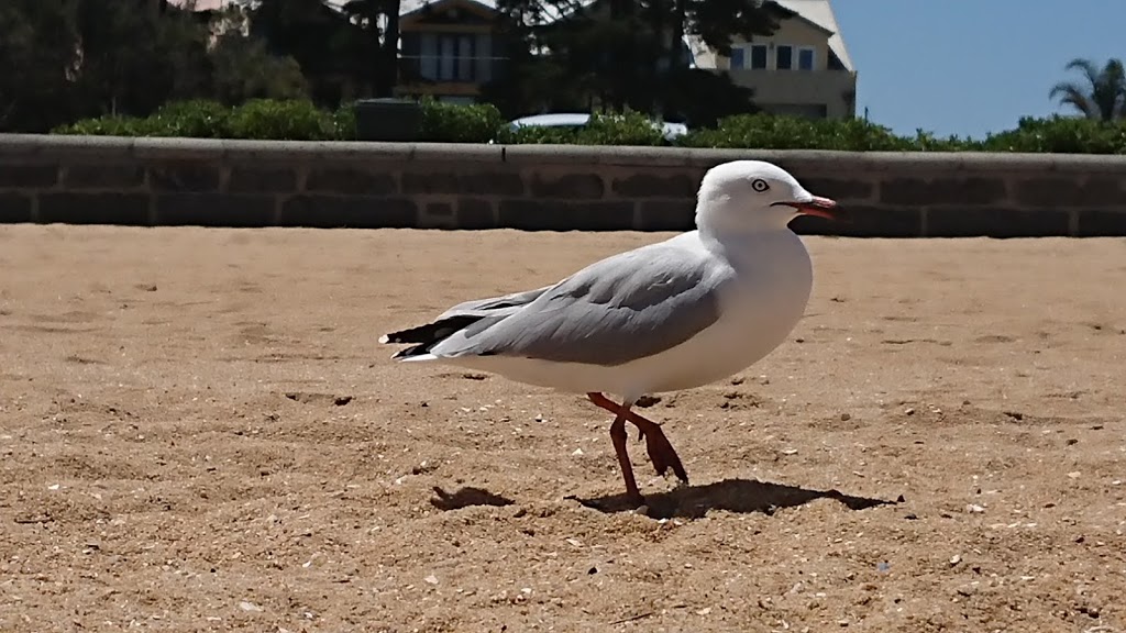 Williamstown Beach |  | 14 Esplanade, Williamstown VIC 3016, Australia | 0399324310 OR +61 3 9932 4310