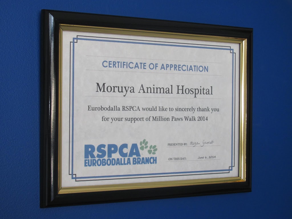 Moruya Animal Hospital | veterinary care | 3/2 Shelley Rd, Moruya NSW 2537, Australia | 0244740077 OR +61 2 4474 0077