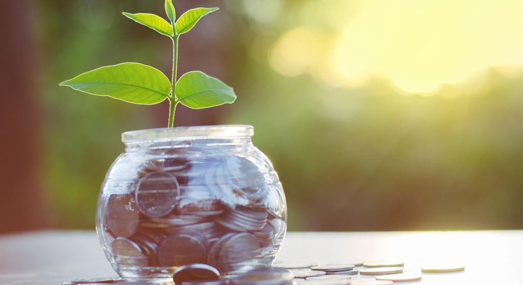 Tristania Farm | 25 Kirkland Rd, Nimbin NSW 2480, Australia | Phone: 0438 420 091