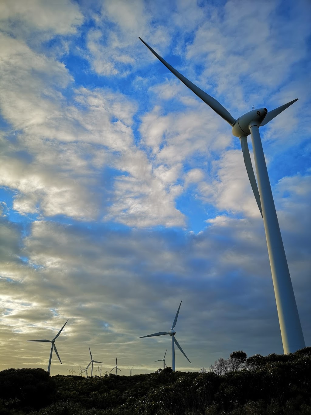 Albany Wind Farm | museum | Sand Patch Rd, Sandpatch WA 6330, Australia