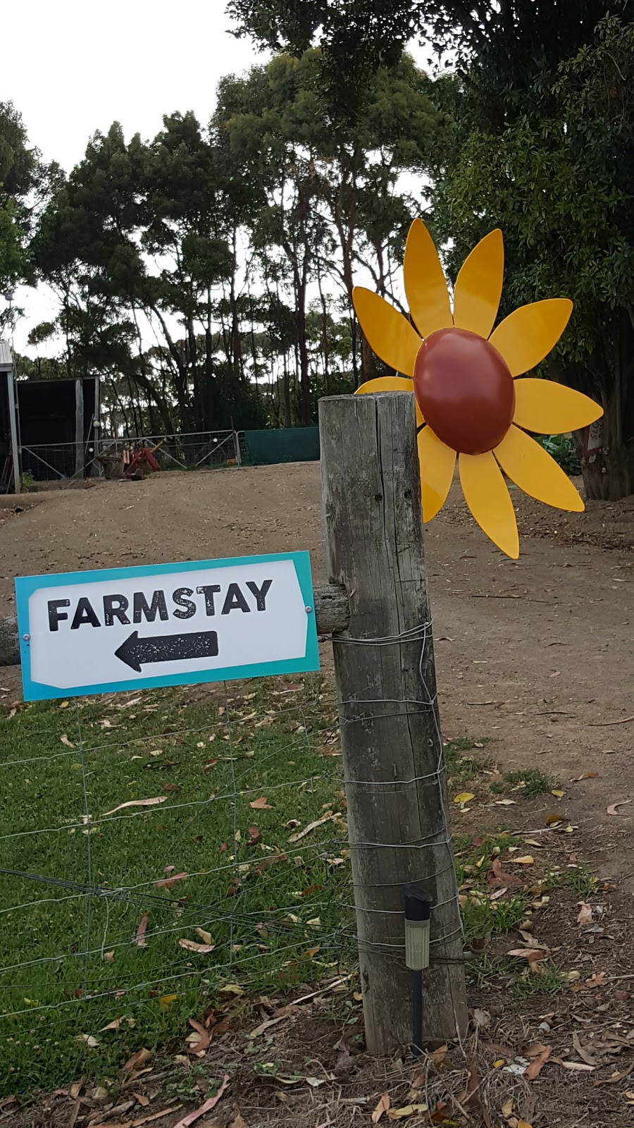 Sea Glimpse Farmstay | lodging | 393 Curdievale-Port Campbell Rd, Port Campbell VIC 3269, Australia