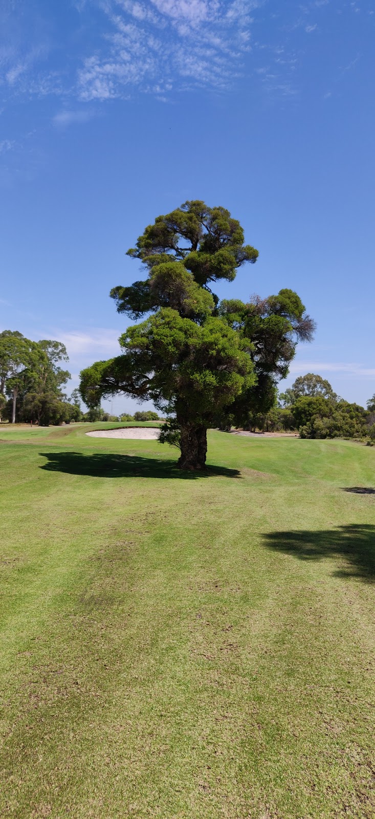 Armadale Golf Club |  | 629 Forrest Rd, Forrestdale WA 6112, Australia | 0894982795 OR +61 8 9498 2795