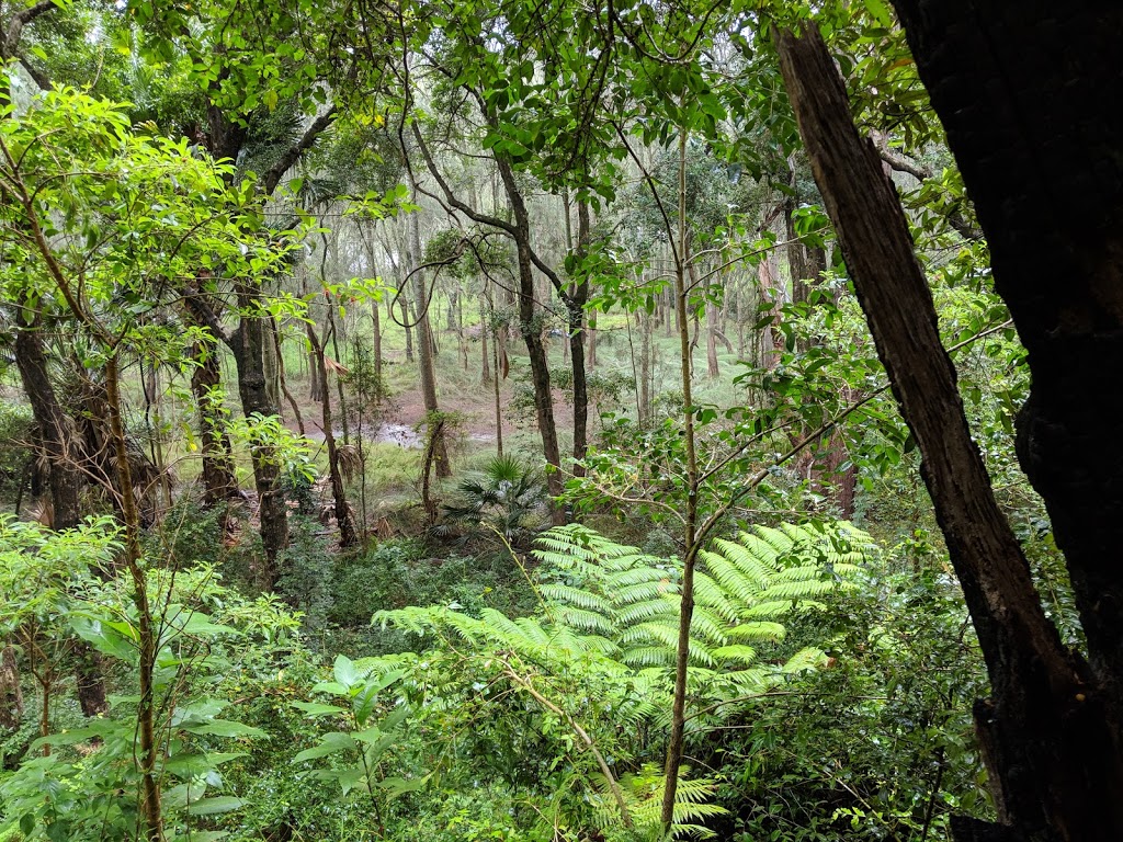 Lane Cove River Track (Avro Rd Entry) | park | Lane Cove North NSW 2066, Australia