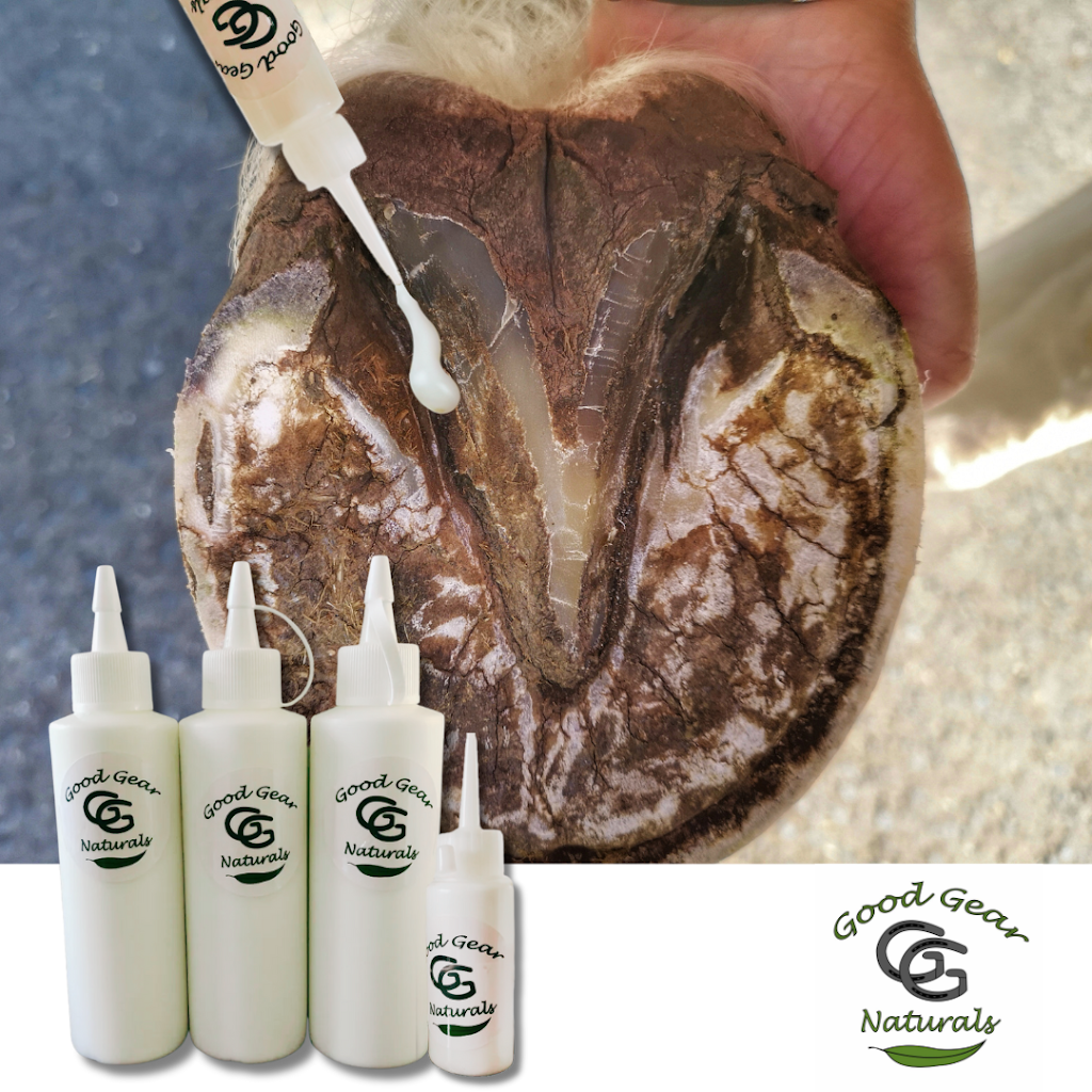 Tasman Feed & Forage | 479 Nubeena Back Rd, Koonya TAS 7187, Australia | Phone: 0490 951 692