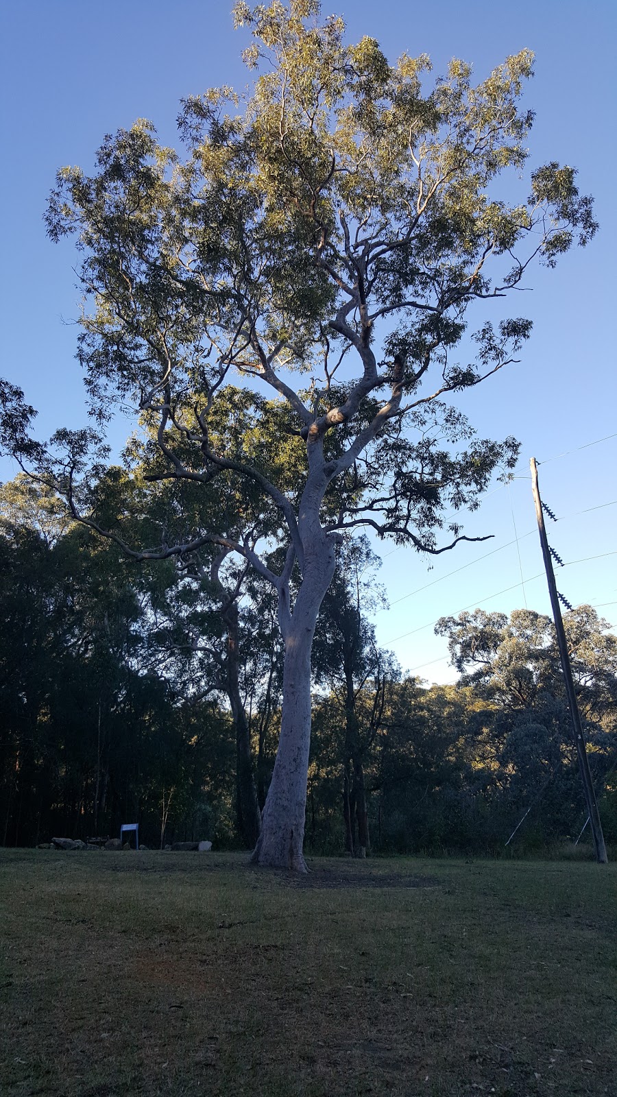 Picnic Point Reserve | park | Springwood NSW 2777, Australia