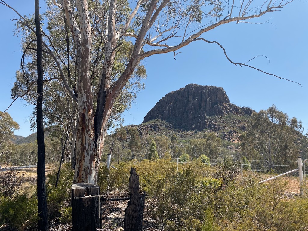 Warrumbungle Flower Farm | 664 Timor Rd, Coonabarabran NSW 2357, Australia | Phone: (02) 6842 1136