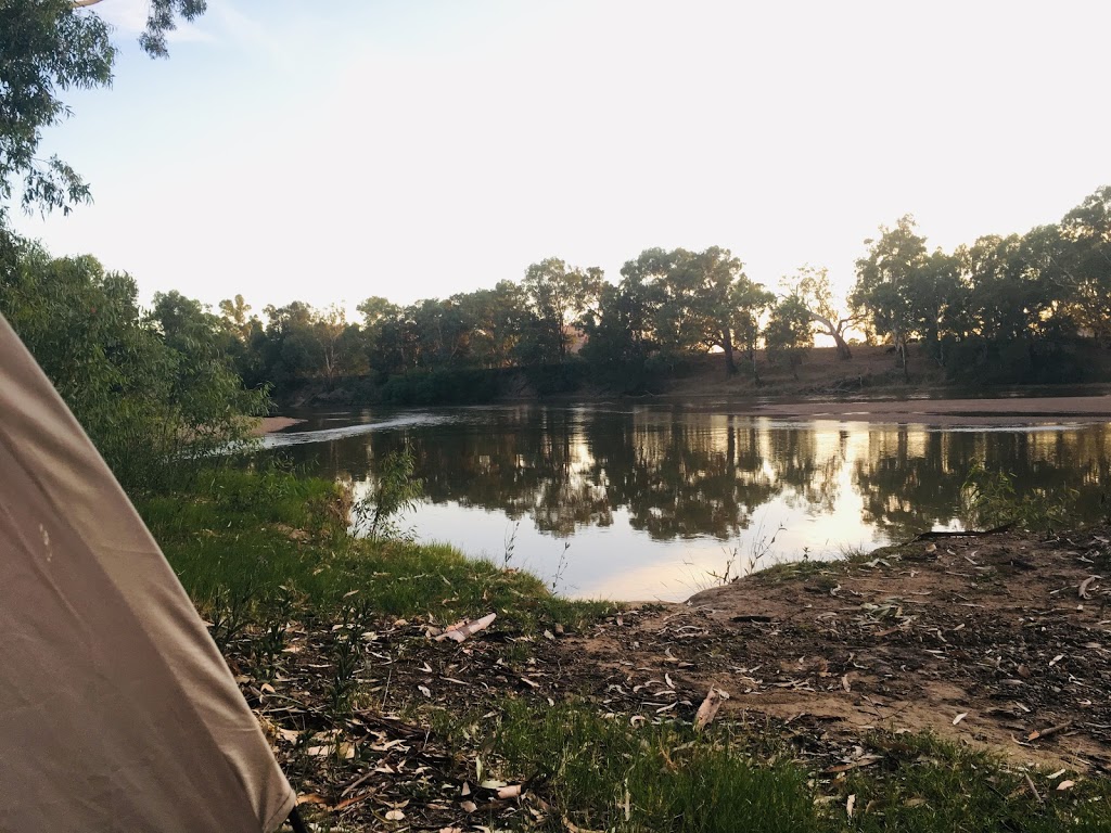 The shanty reserve | campground | River Rd, Alfredtown NSW 2650, Australia