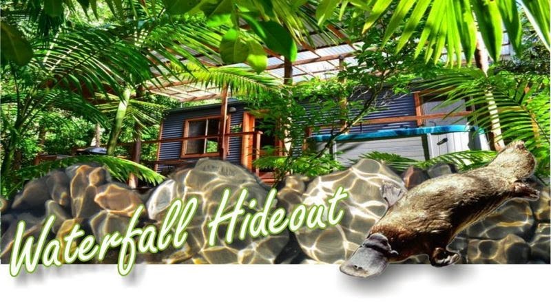 Waterfall Hideout-Rainforest Cabin for Couples | lodging | 368 Zara Rd, Chillingham NSW 2484, Australia | 0490372452 OR +61 490 372 452