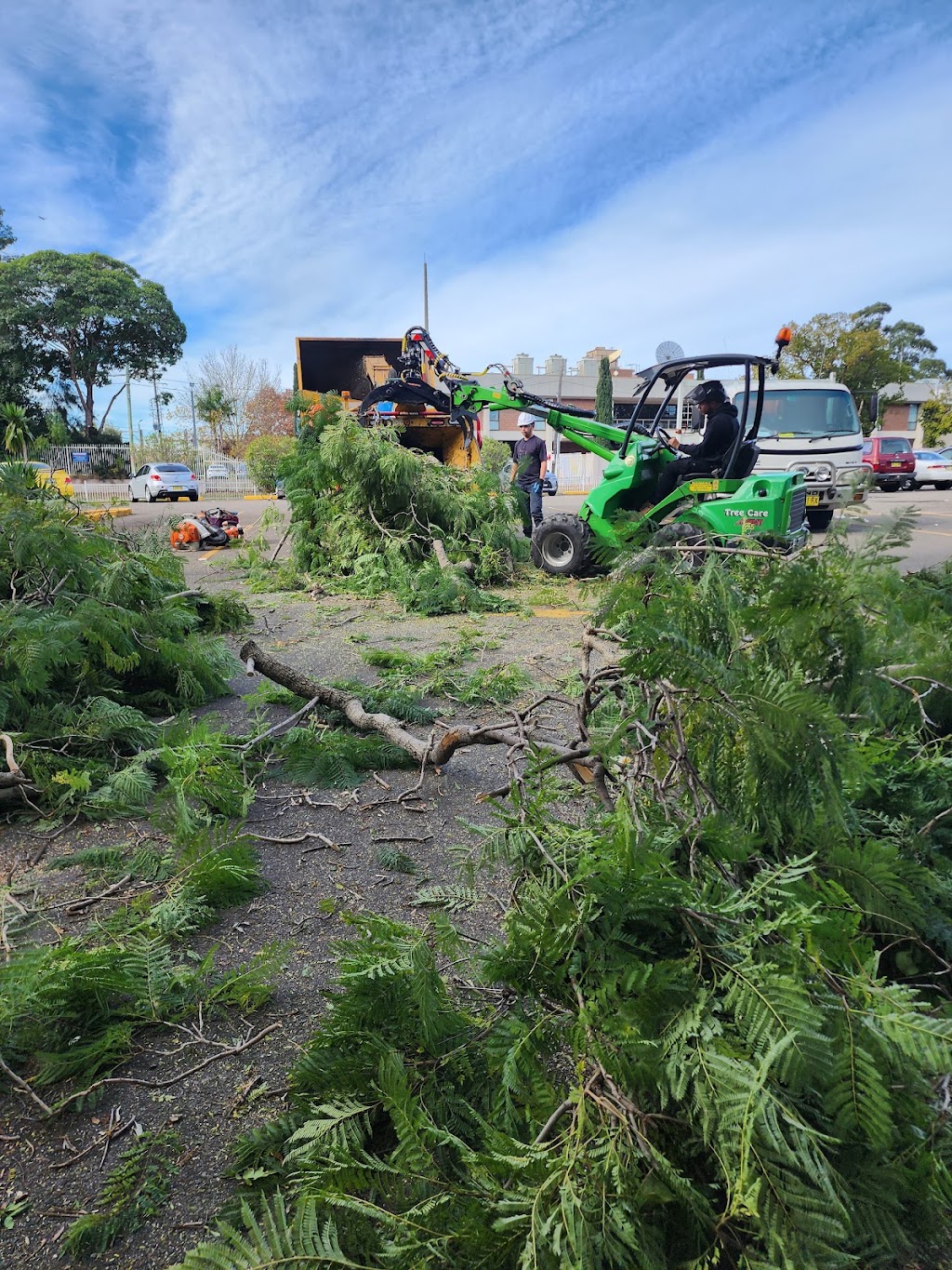 Magic Tree Services | 30 Heath St, Granville NSW 2142, Australia | Phone: (02) 5661 8855
