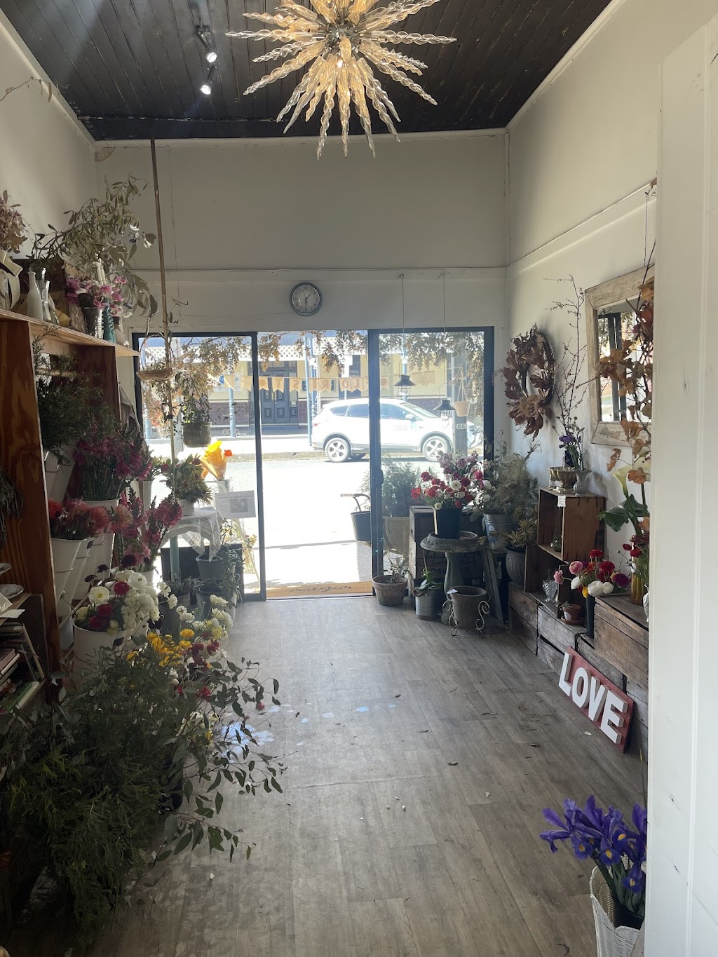 Edellen Flowers | 49 Gaskill St, Canowindra NSW 2804, Australia | Phone: 0419 847 461