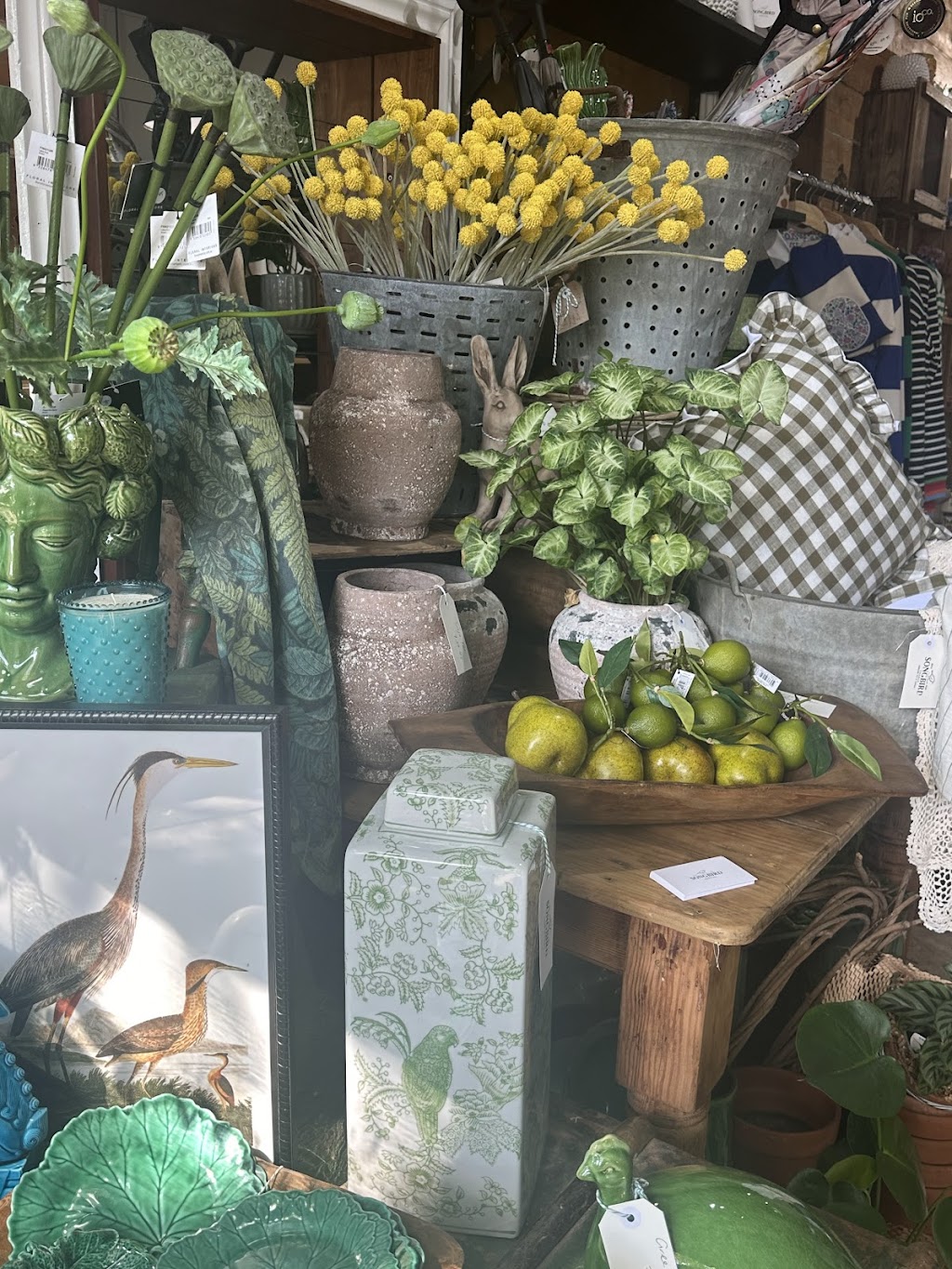 Songbird Trader | 2 High St, Yackandandah VIC 3749, Australia | Phone: 0438 608 551