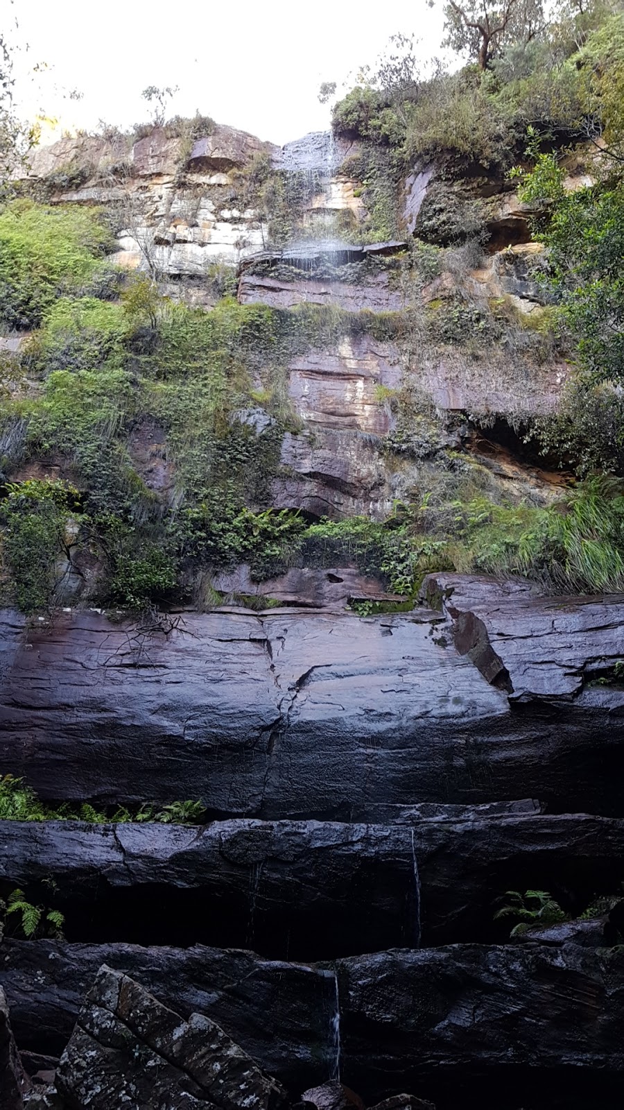 Elvina Waterfalls | park | Ku-Ring-Gai Chase NSW 2084, Australia