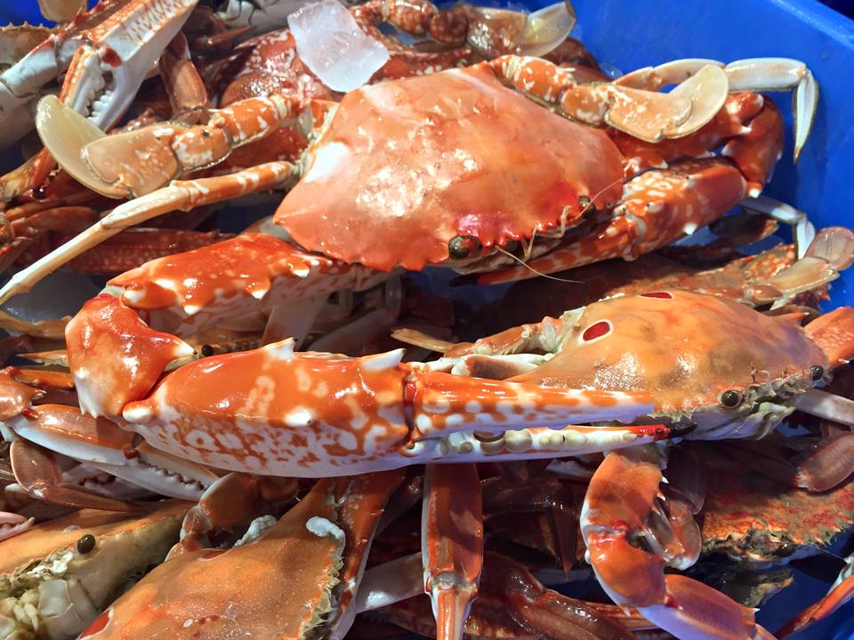 Northern Rivers Seafood | 480 River St, Ballina NSW 2478, Australia | Phone: (02) 6686 2187