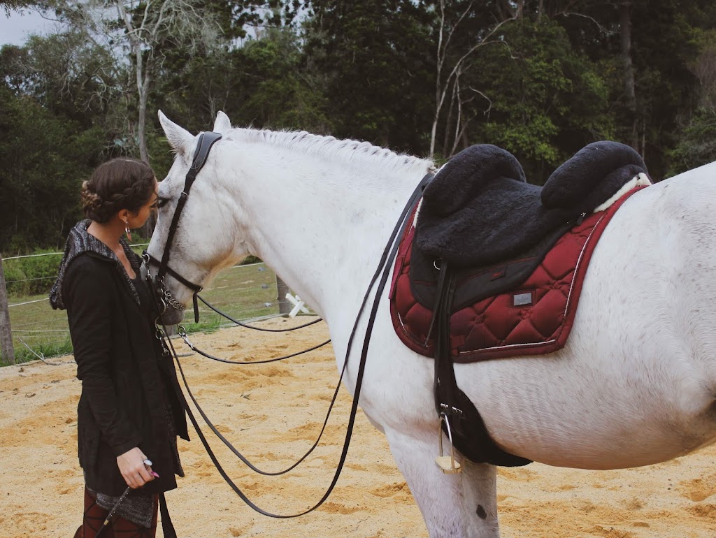 Empress Equine | 88 Kindra Ave, Karana Downs QLD 4306, Australia | Phone: 0423 275 615