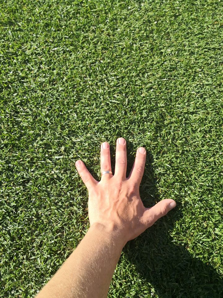 Complete Turf Solutions | general contractor | 9 Kirke St, Balcatta WA 6062, Australia | 0497101447 OR +61 497 101 447