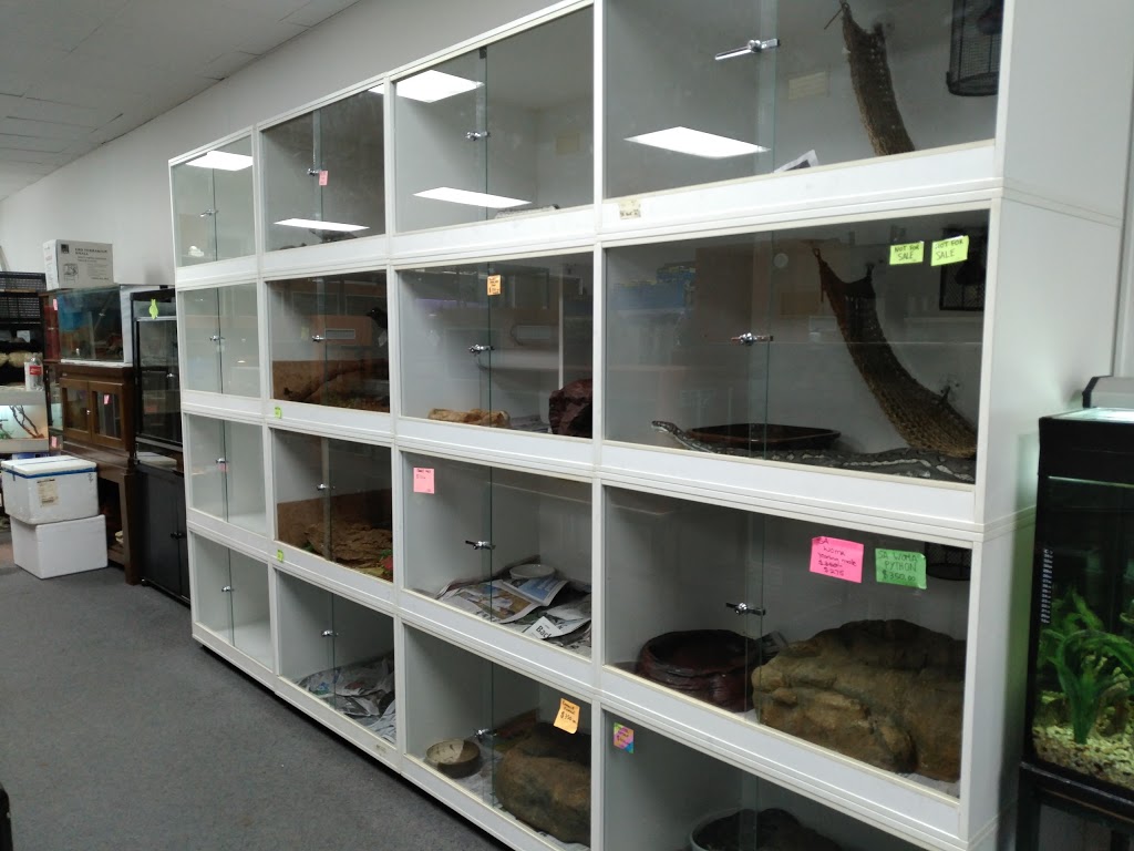 Dragon Reptiles SA | pet store | 2/130 Peachey Rd, Davoren Park SA 5113, Australia | 0412118540 OR +61 412 118 540