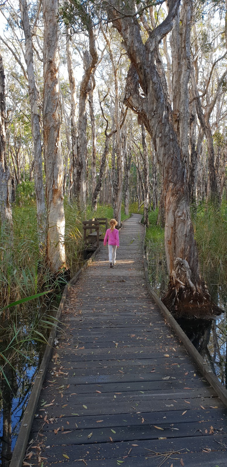 Banksia Track Trail Head | park | 36 Acacia St, Woodgate QLD 4660, Australia