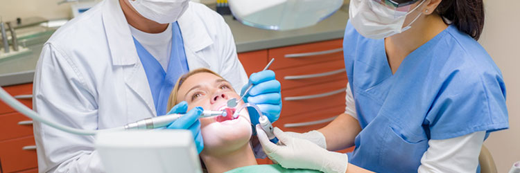 Northland Dental Clinic | dentist | Shop E-x09/2-50 Murray Road Northland Shoping Centre, Preston VIC 3072, Australia | 0394781036 OR +61 03 9478 1036