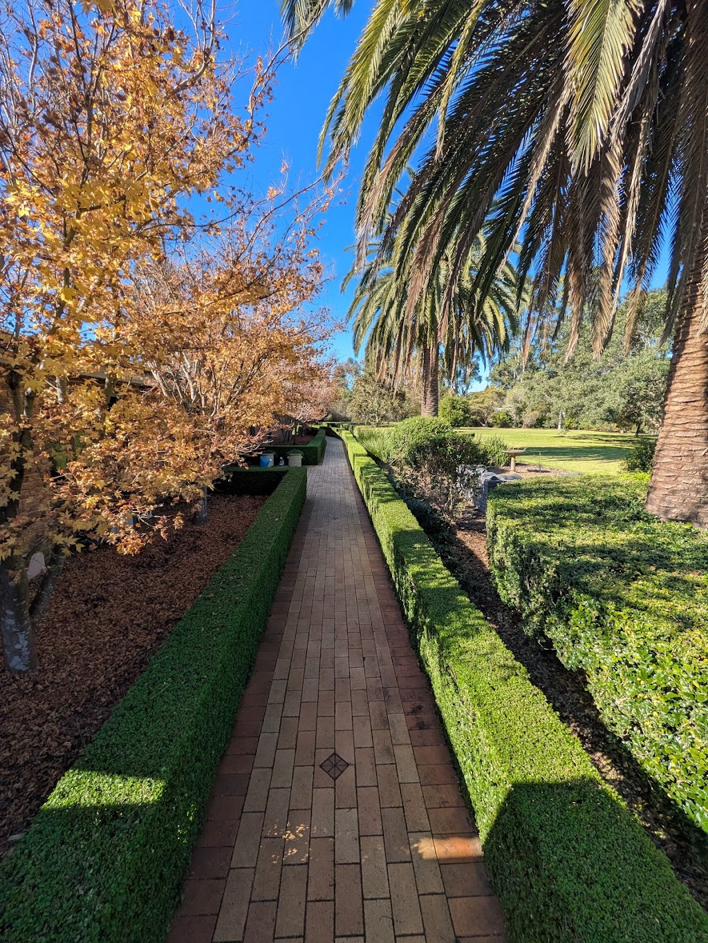 Protea Landscapes | 72 St Georges Cres, Faulconbridge NSW 2776, Australia | Phone: 0494 315 332