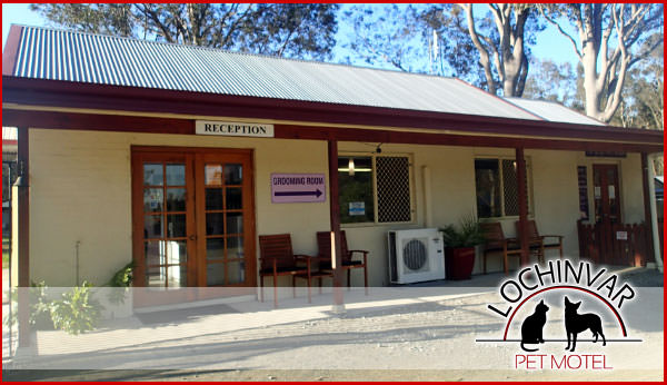 Lochinvar Pet Motel | 206 Old North Road. Lochinvar 2321, Australia | Phone: 0249309094 or 0249307612