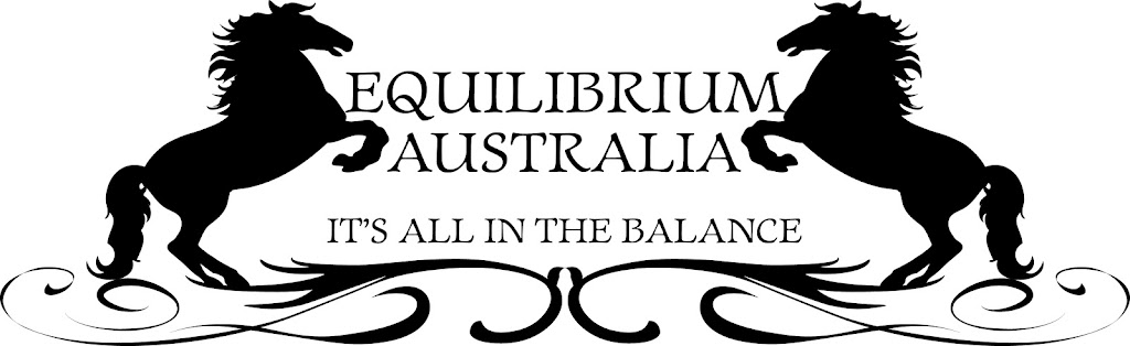 Equilibrium Australia | 5/12 Glasson Dr, Bethania QLD 4205, Australia | Phone: 1300 720 377