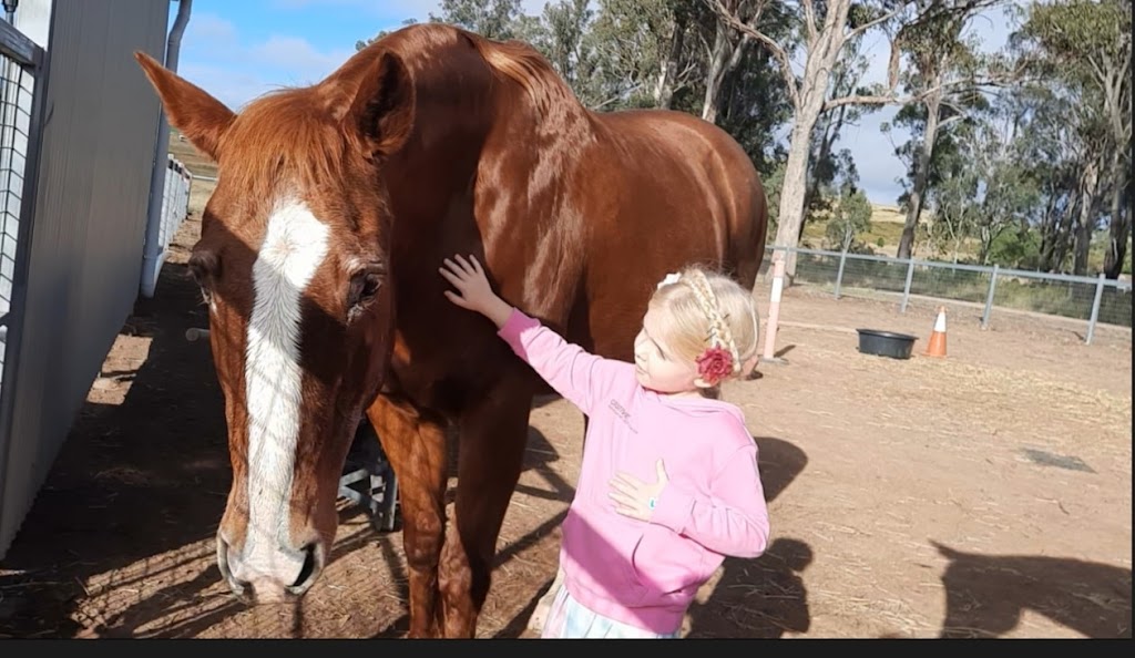 Friendship Horses |  | 123 George St, Nanango QLD 4615, Australia | 0407988179 OR +61 407 988 179