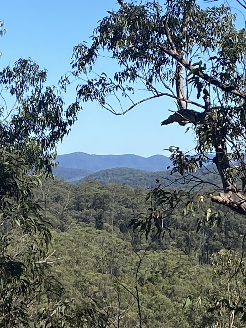 Kamameja remote bush camp | 8VX7+PX, Doyles Creek NSW 2330, Australia | Phone: 0473 068 872