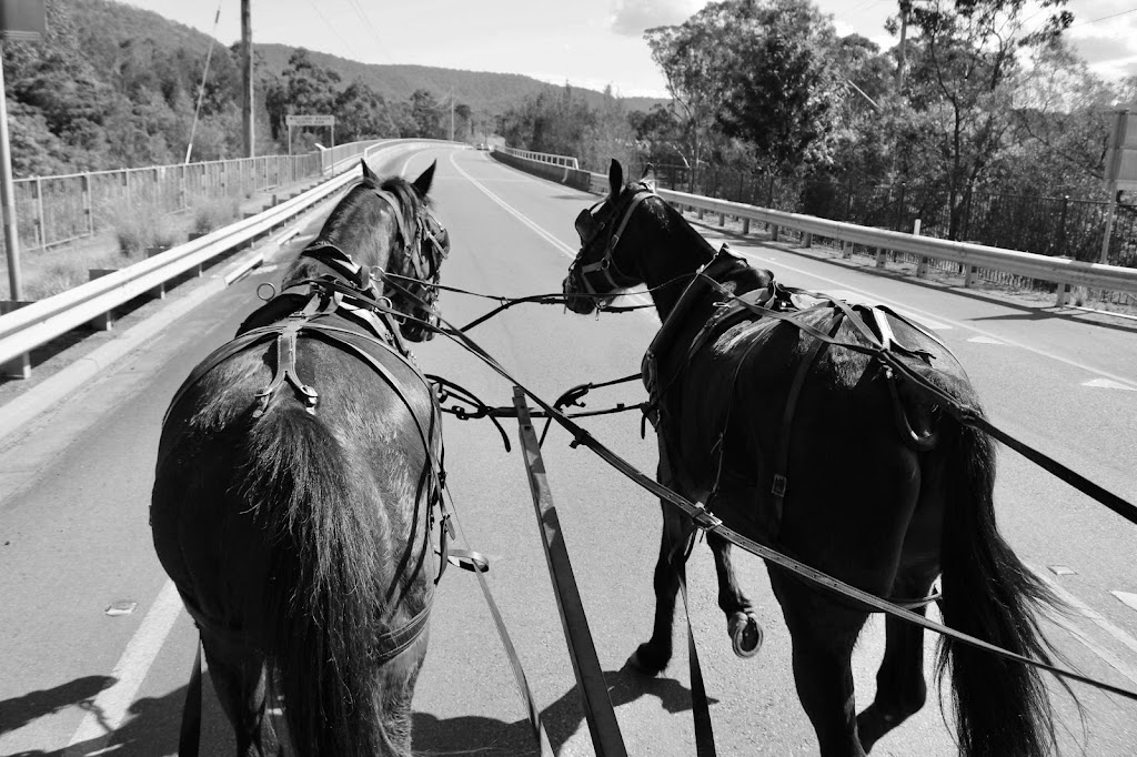 Hunter Valley Country Carriages | 298 McDonalds Rd, Pokolbin NSW 2320, Australia | Phone: 0467 421 398