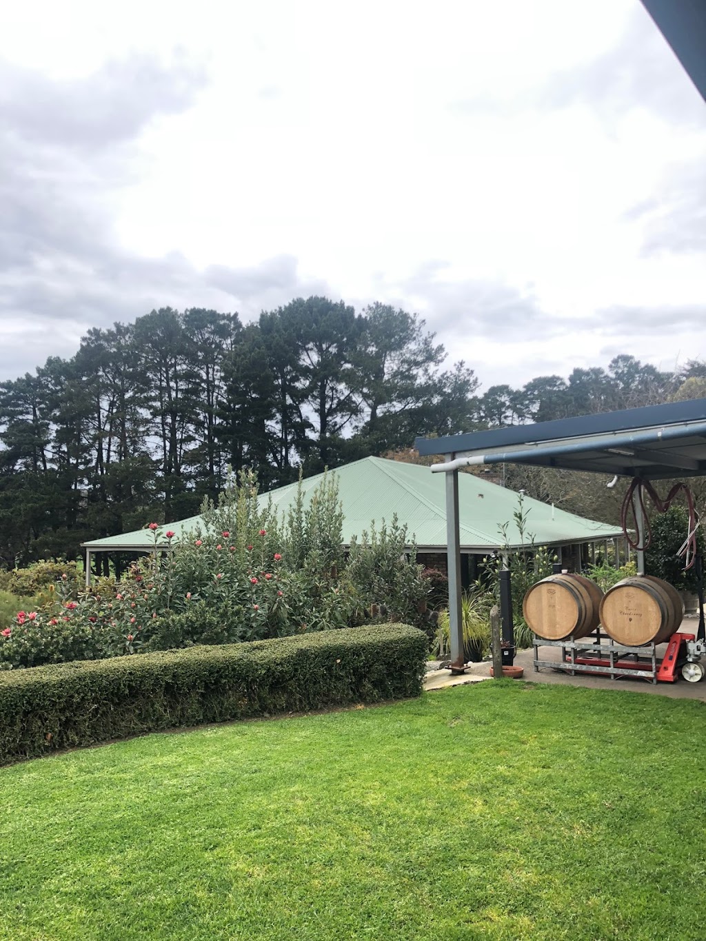 Myrtaceae Winery | tourist attraction | 53 Main Creek Rd, Red Hill VIC 3937, Australia | 0359892045 OR +61 3 5989 2045