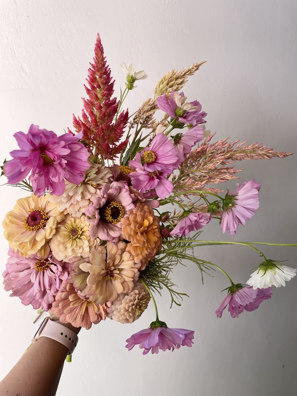 Patience Petal | 88 Bell St, Penshurst VIC 3289, Australia | Phone: (03) 5576 7279