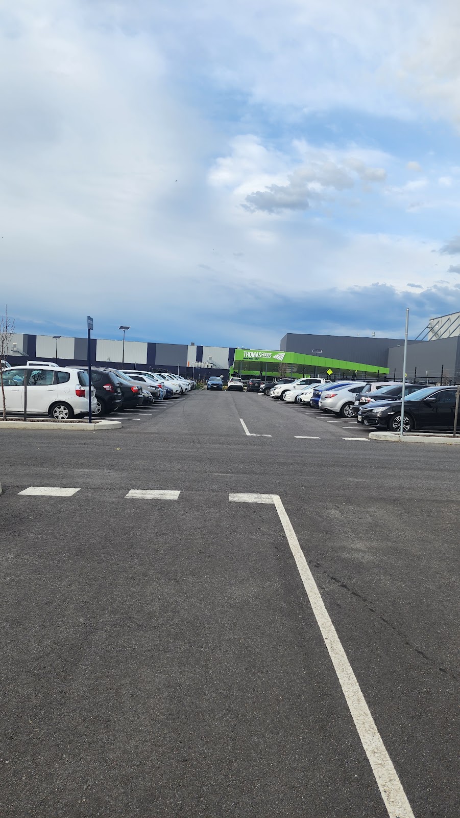 Thomas Foods International - Murray Bridge | 191 Temora Wy, Pallamana SA 5254, Australia | Phone: (08) 7094 1500