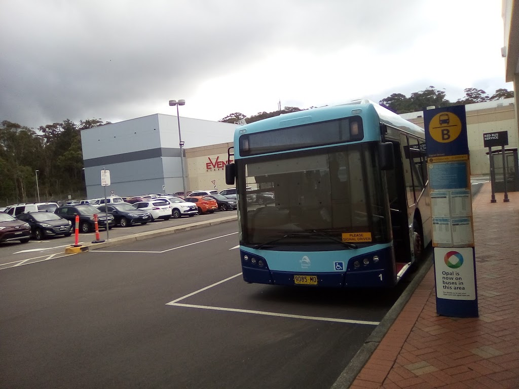 Red Bus Service | 682A Coleridge Rd, Bateau Bay NSW 2261, Australia | Phone: (02) 4332 8655