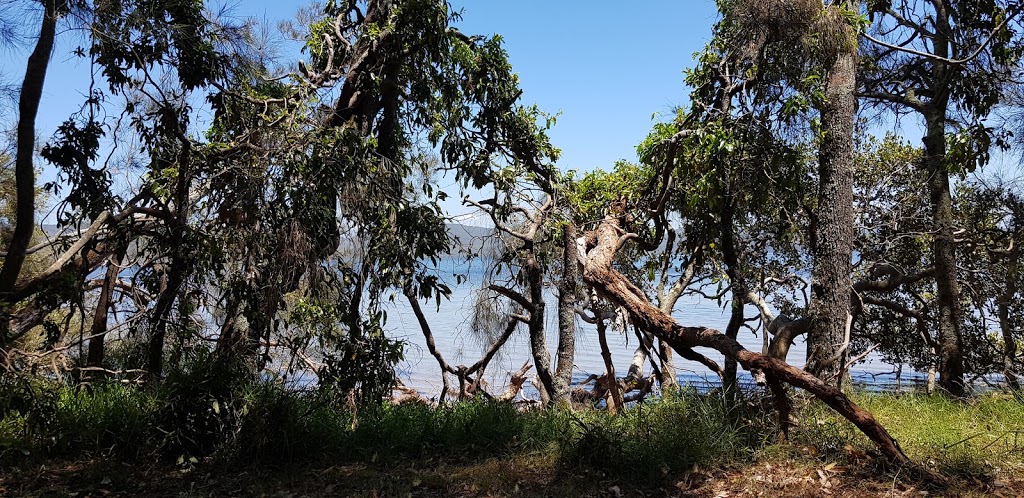 Sunset Picnic Area | park | Booti Booti NSW 2428, Australia