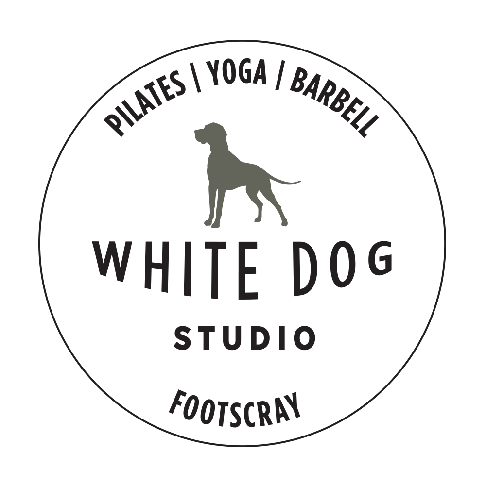 White Dog Studio | gym | 34 Moreland St, Footscray VIC 3011, Australia | 0437776291 OR +61 437 776 291