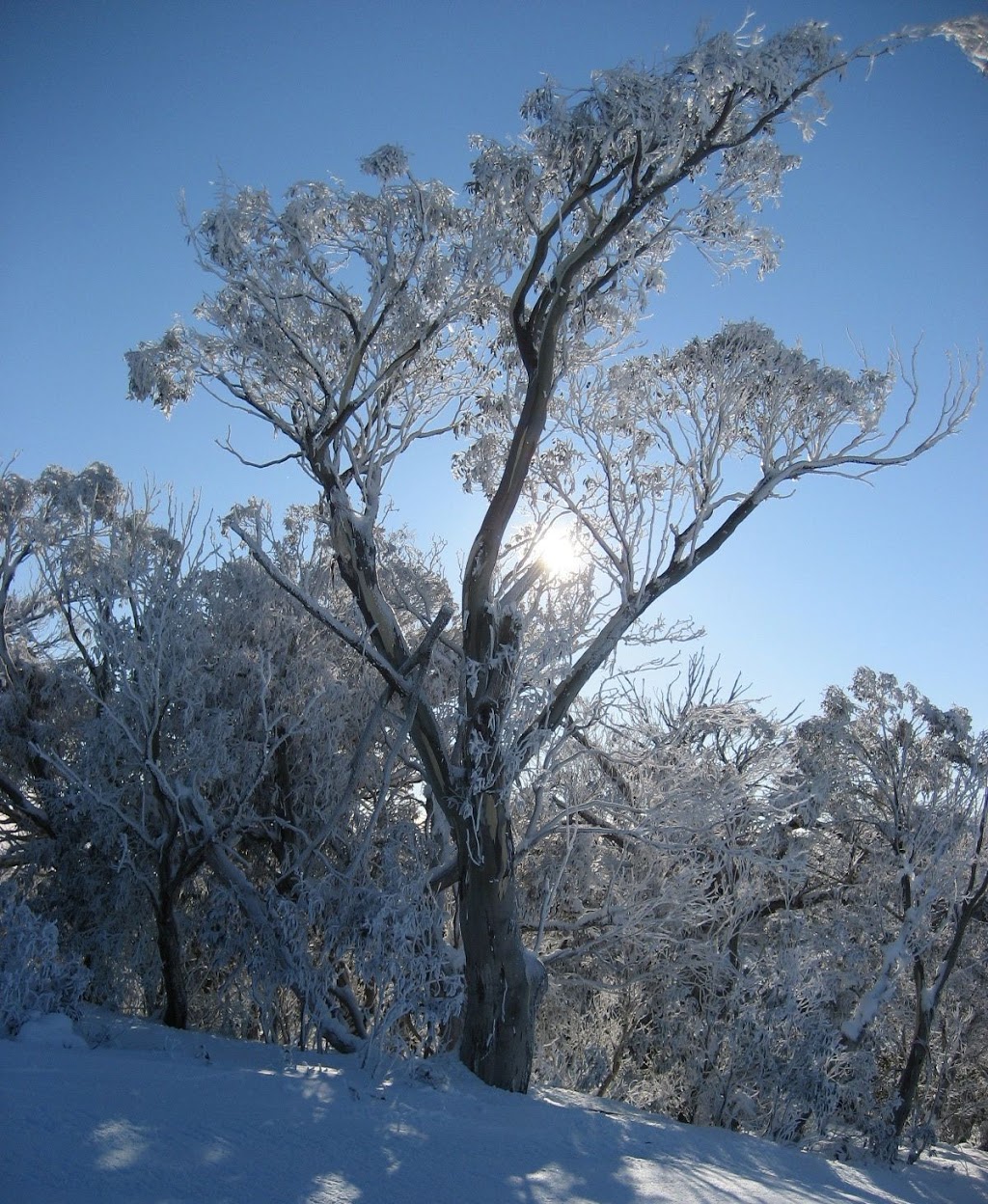 Selwyn Snow Resort | Kings Cross Rd, Mount Selwyn NSW 2630, Australia | Phone: (02) 6454 9488