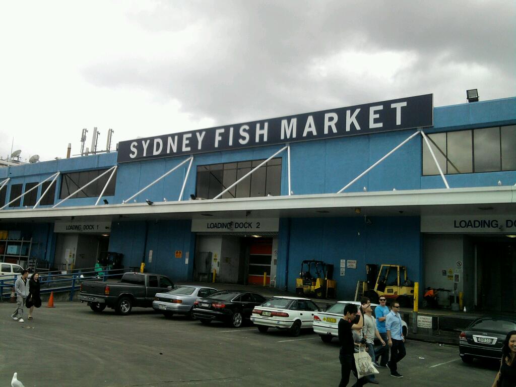 The Master Fish Merchants’ Association of Australia | Sydney Fish Market, Cnr Pyrmont Bridge Road &, Bank St, Pyrmont NSW 2009, Australia | Phone: 0421 017 802