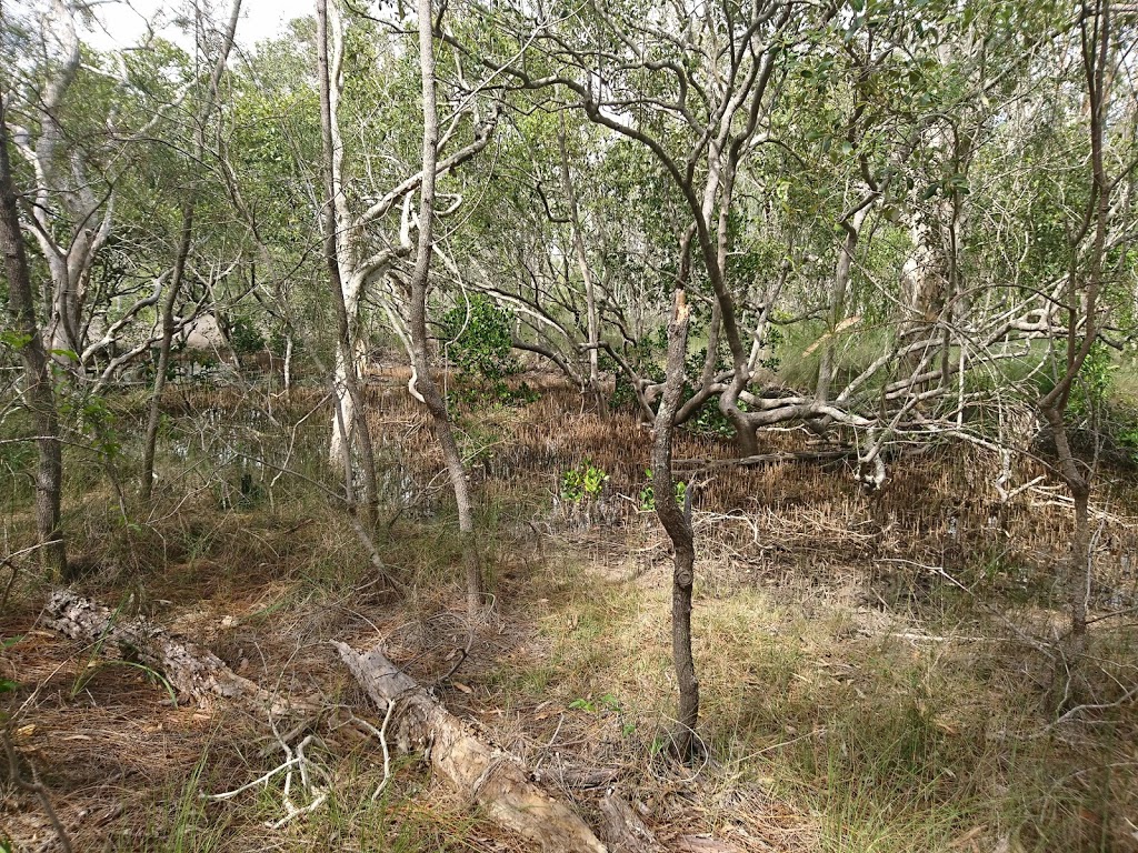 Weyba Mangrove Boardwalk | 163 Weyba Rd, Noosaville QLD 4566, Australia