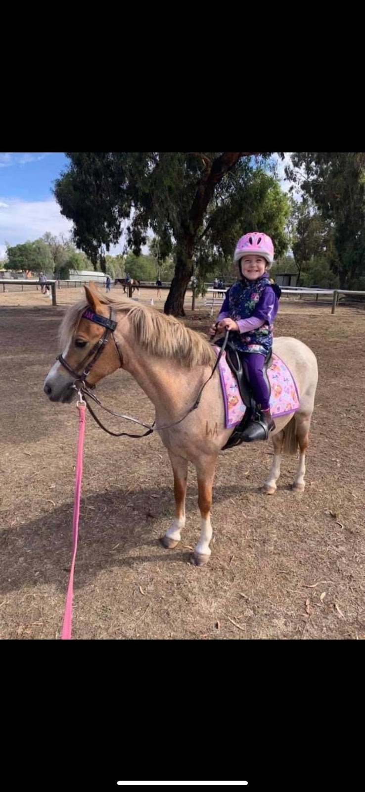 Devine Equine | 713 Graham Rd, Kyabram VIC 3620, Australia | Phone: 0428 939 638