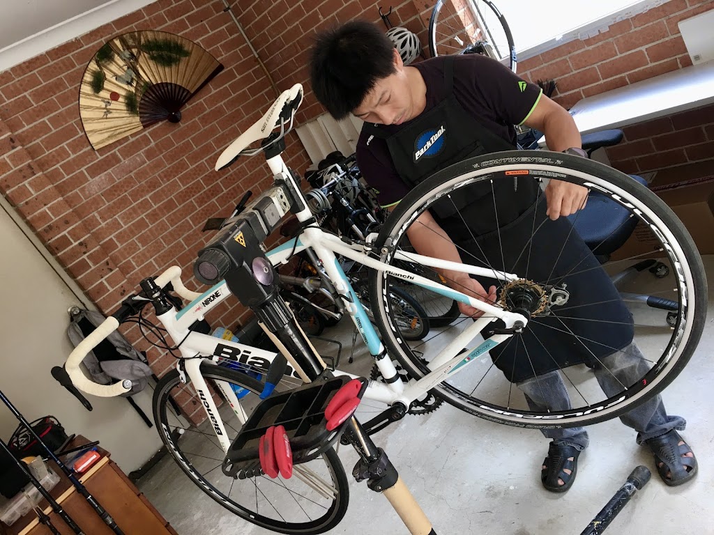 Flying Fish Cycle Workshop | 49 Gundaroo Cct, Maryland NSW 2287, Australia | Phone: 0402 124 539