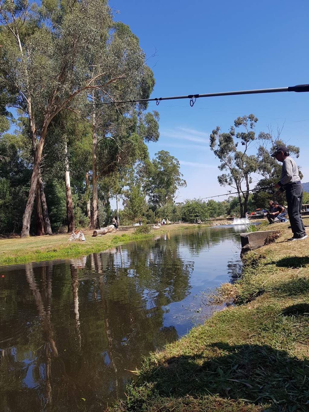 Buxton Trout & Salmon Farm | 2118 Maroondah Hwy, Buxton VIC 3711, Australia | Phone: (03) 5774 7370