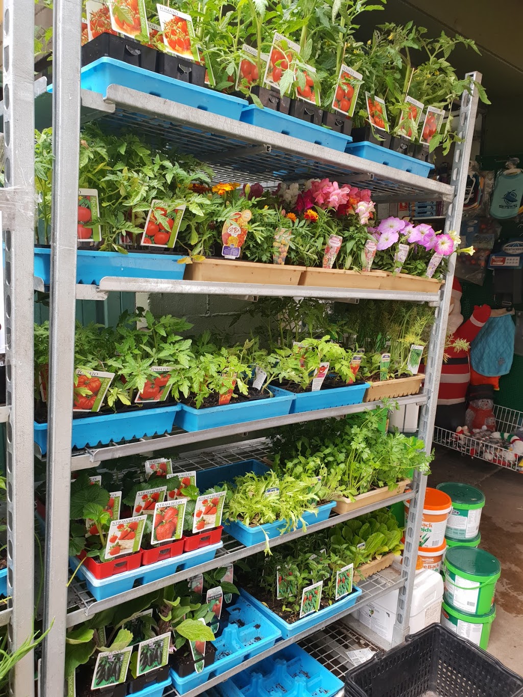 Enfield Produce: Pet & Garden Supplies | pet store | 56 Coronation Parade, Enfield NSW 2136, Australia | 0297475713 OR +61 2 9747 5713