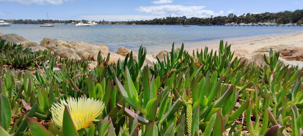 Claremont Jetty Fishing Spot | Jetty Rd, Claremont WA 6010, Australia | Phone: (08) 9285 4300