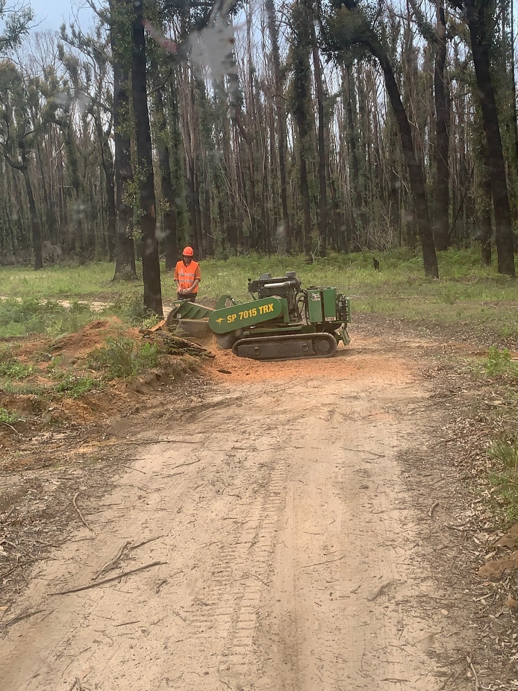 Roots 2 Leaves Tree Services Pty Ltd | Old Orbost Rd, Swan Reach VIC 3909, Australia | Phone: 0409 506 958