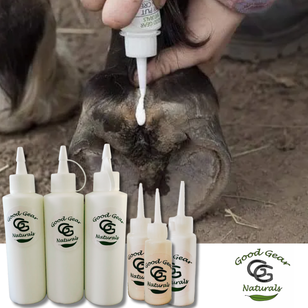 Tasman Feed & Forage | 479 Nubeena Back Rd, Koonya TAS 7187, Australia | Phone: 0490 951 692