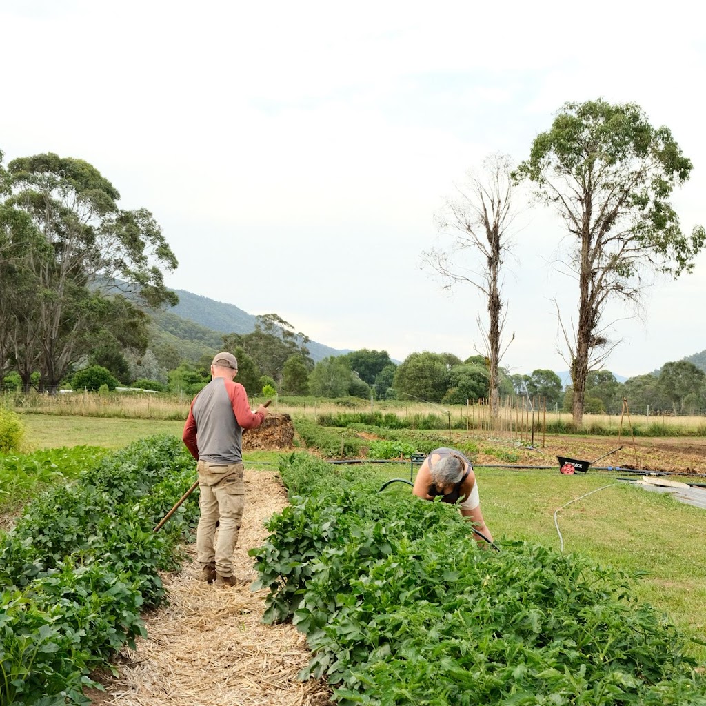 Small Patch Smoko | 1753 Great Alpine Rd, Smoko VIC 3741, Australia | Phone: 0435 079 890