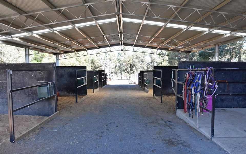 Dowling View Equine Centre | 89 Dowling Rd, Miners Rest VIC 3352, Australia | Phone: 0408 478 470