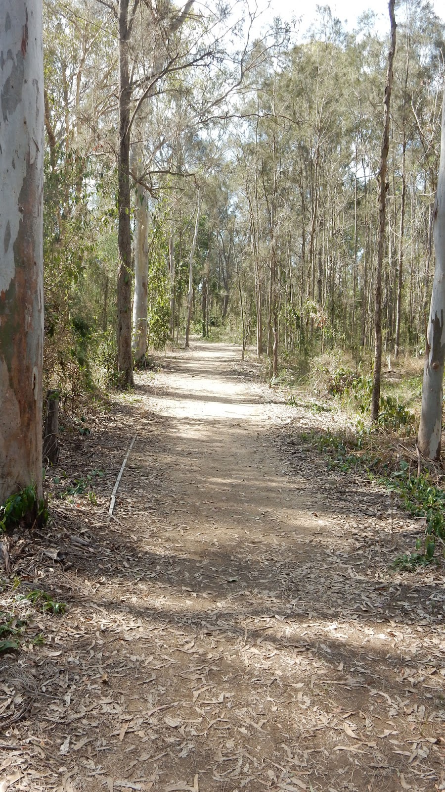 Tinchi Tamba Wetlands Reserve | park | Bald Hills QLD 4036, Australia